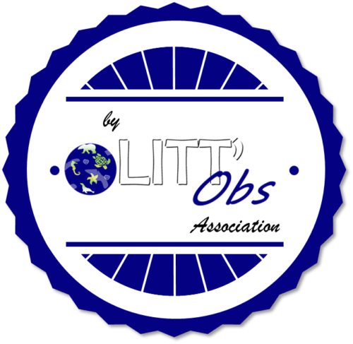 Association Litt'Obs